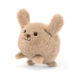 Jellycat Caboodle Puppy